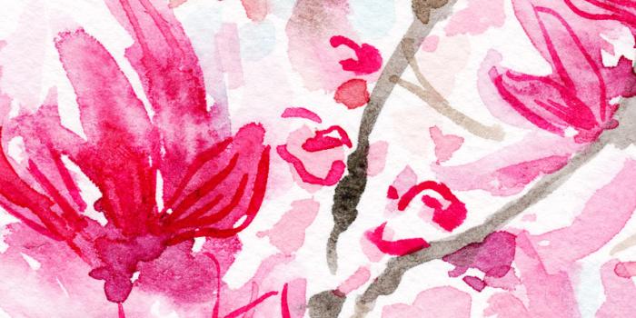 852x1608 March 2018 Wallpapers!