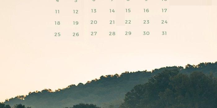 760x1126 March 2018 iPhone Calendar Wallpaper | Max Calendars