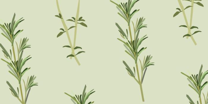 1080x1920 Free March 2017 Herb Wallpapers |