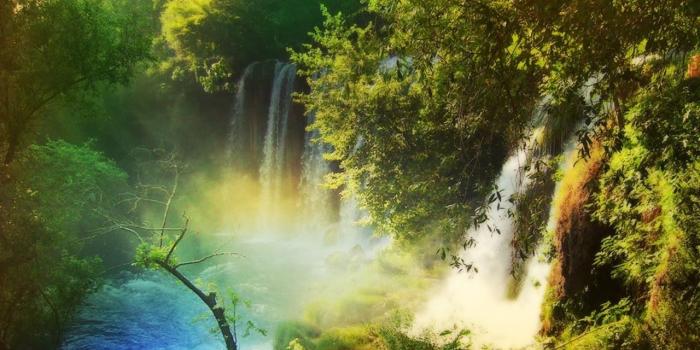 1280x960 Amazing Nature Wallpapers - National Geographic Wallpaper (7896981