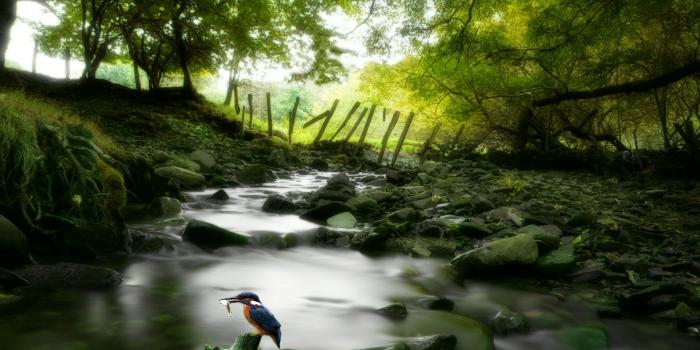 1920x1200 Awesome Nature Wallpapers High Resolution | naturally beautiful