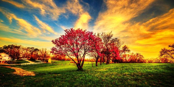 2048x1045 Awesome nature wallpapers - SF Wallpaper