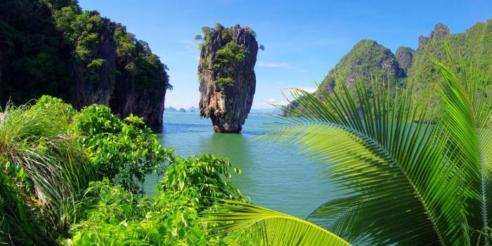 2560x1520 Organic Photos, Amazing Nature Wallpapers, Plants, - Amazing