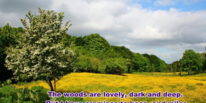 1280x880 Amazing HD nature wallpaper with quote