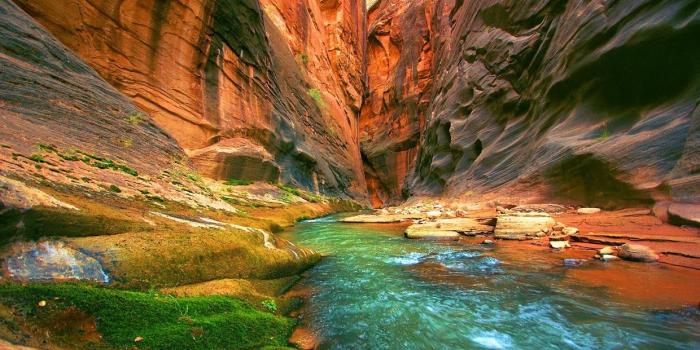 1240x775 15923 amazing nature wallpaper