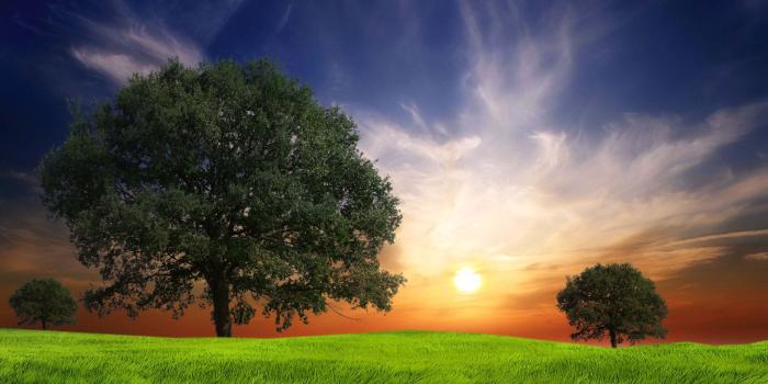 1920x1080 Awesome Nature wallpaper | 1920x1080 | #68413