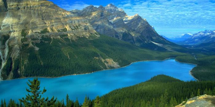 1920x1073 Download Nature Wallpapers Full HD 1080p Photo Desktop Backgrounds