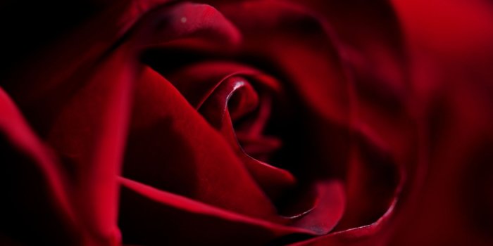 1920x1200 Best 47+ Acer Predator Wallpaper on HipWallpaper | Alien vs Predator