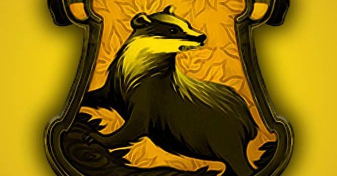 670x1192 Deborah Thomas on HUFFLEPUFF BADGER in 2019 | Hufflepuff