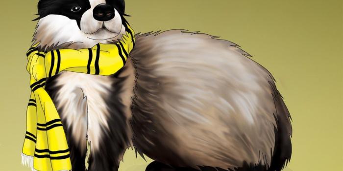 991x806 Scarf Hufflepuff iPhone Wallpapers - Top Free Scarf Hufflepuff