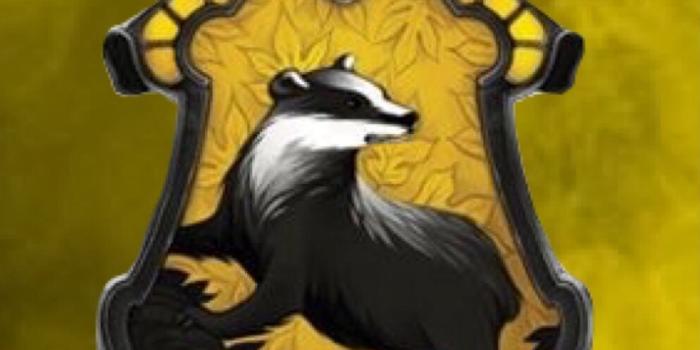 994x1800 Hufflepuff (Harry Potter) || phone wallpaper | My Photoshop