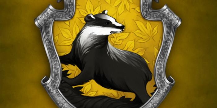 1080x1920 Hufflepuff Wallpapers (66+ pictures)