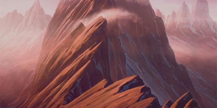 1488x2078 65+ MTG Forest Wallpapers - Download at WallpaperBro