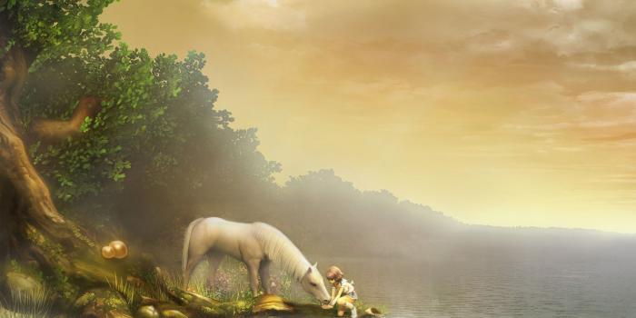 1920x1200 Magic land Wallpaper #43706