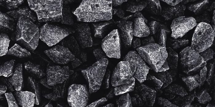 1000x1778 iPhone Wallpapers | 88 best free wallpaper, outdoor, grey and plant