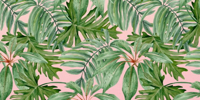 2560x1600 Palms - Desktop Wallpaper - More than Motivation: Study, Career and