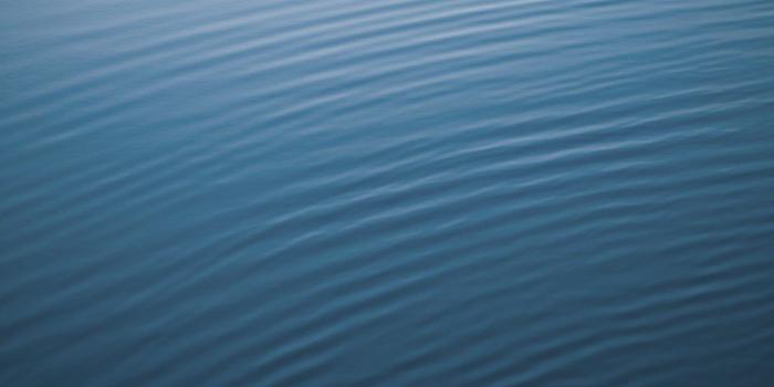 1024x1024 iOS 6 Default New iPad Wallpaper | iOS 6 Default iPad wallpa…