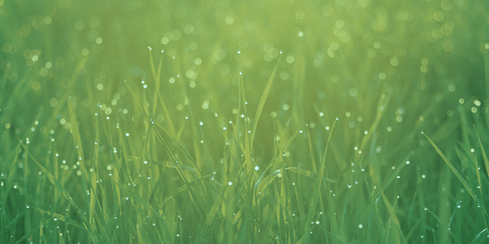 1024x1024 Ipad Default Wallpaper - (41+ images)