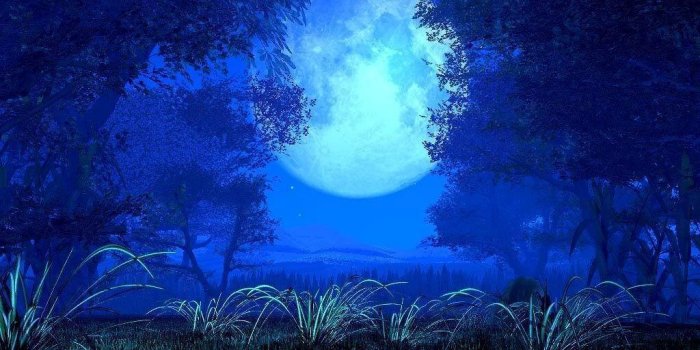 1024x768 Blue Moon Wallpapers