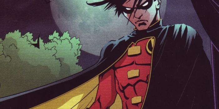 1024x768 Robin Wallpaper 7 | Anime Wallpapers | Robin costume, Robin tim