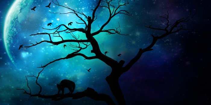 1920x1080 17965 blue moon wallpaper