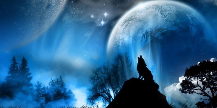 1440x900 Blue Moon and Wolf Wallpapers - Top Free Blue Moon and Wolf