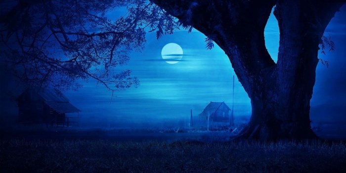 1300x867 2849945 nature landscape blue moon night trees grass hut mist field