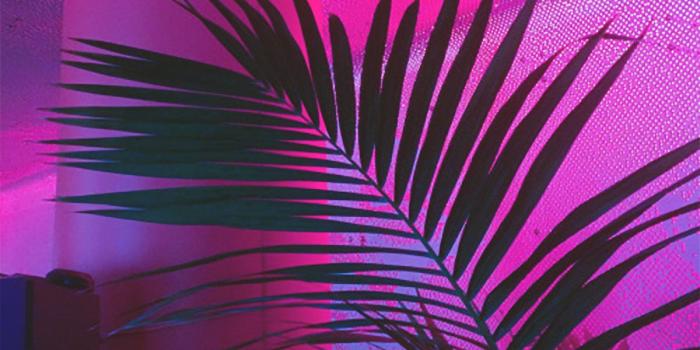 1200x1200 Conclusions | glue70