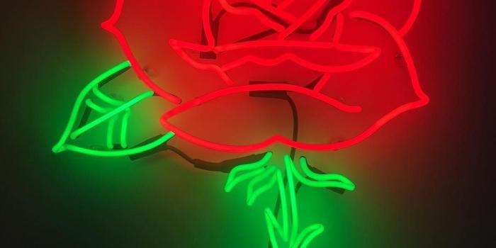 1080x1349 rose design by @christopheryoung #neondesign #chistopheryoung