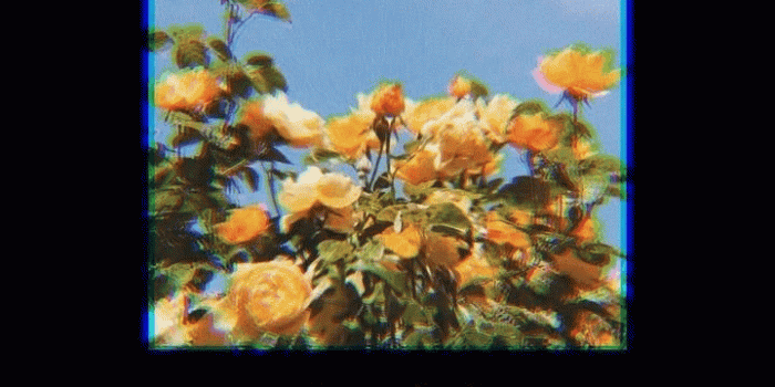 720x1280 Image about quotes in Wallpapers 