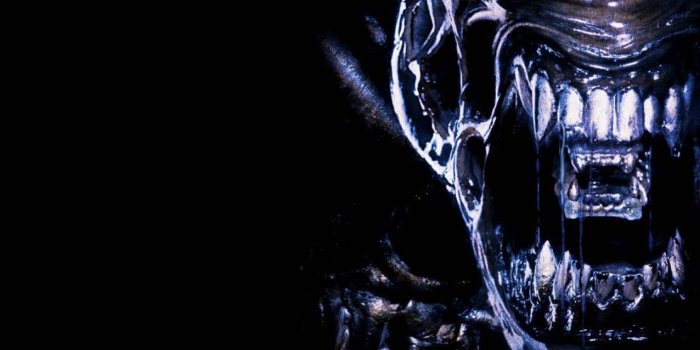 1440x900 Aliens Vs. Predator HD Wallpaper 12 - 1920 X 1080