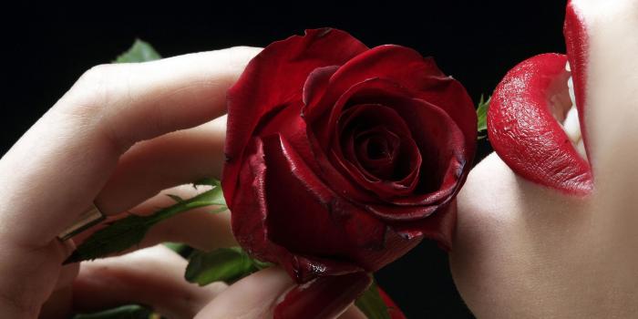 3840x2400 Red Rose Flower lips with red lipstick 4K HD Desktop Wallpaper for