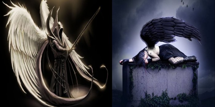 1920x1080 38+] Fallen Angel HD Wallpaper on WallpaperSafari