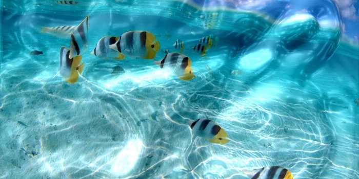 2560x1440 67+ Moving Desktop Wallpapers on WallpaperPlay