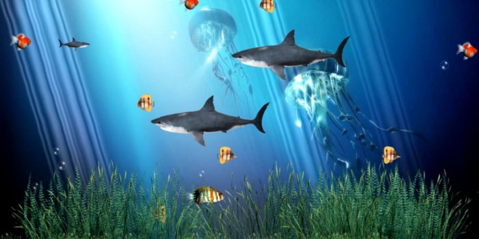 1363x794 Free Moving Desktop Background For Windows 7 | Wallpapers Image