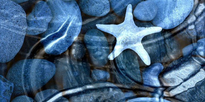 2560x1440 Motion Desktop Backgrounds (64+ pictures)