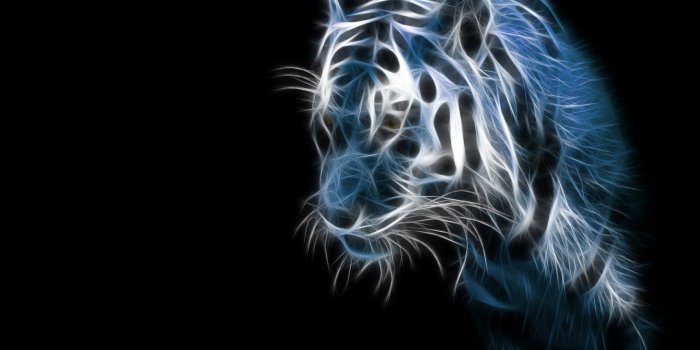 1600x1000 Moving Desktop Wallpaper - (42+) Wallpaper Collections