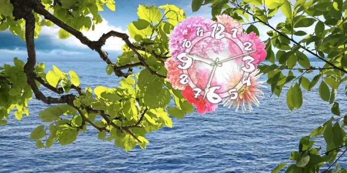 1171x729 Moving Desktop Wallpaper Awesome Wallpaper 6s - eitc-carolinas.org