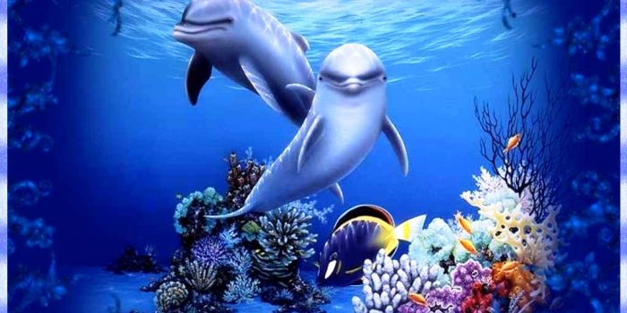 1024x768 Moving desktop background download 7 » Background Download