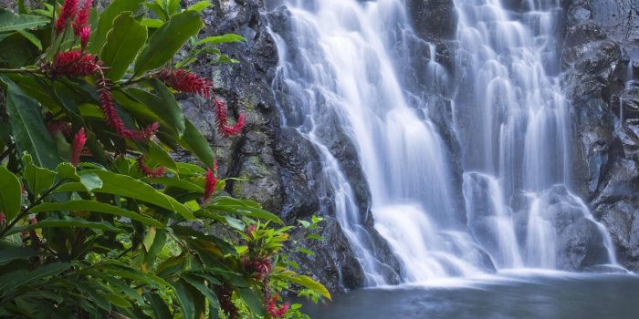 1600x1000 50+] Moving Wallpaper Download on WallpaperSafari