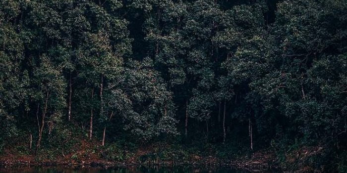736x1308 The Perfect Set Of Wallpapers For Your New iPhone XR | Preppy Wallpapers