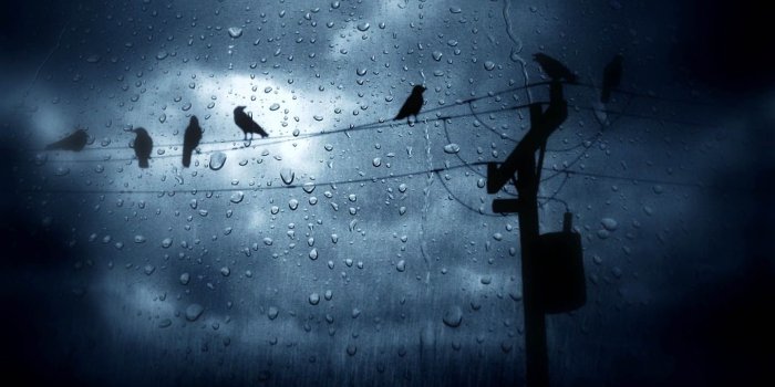 1440x900 50+] 3D Rain Wallpaper on WallpaperSafari