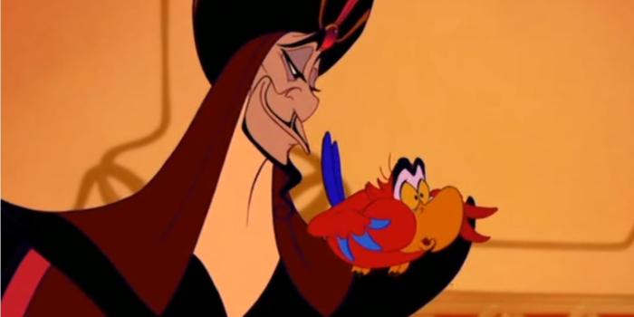 1267x763 Falling in love with my hook up