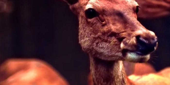 1536x2048 Kanye West - Runaway HD Wallpaper Retina iPad - HD Wallpaper