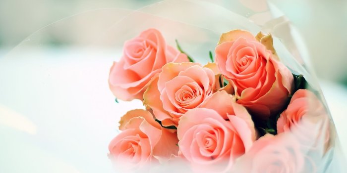 1920x1080 peach-roses-flower-hd-wallpaper-1920×1080-26281 – NAIMA FLORIST