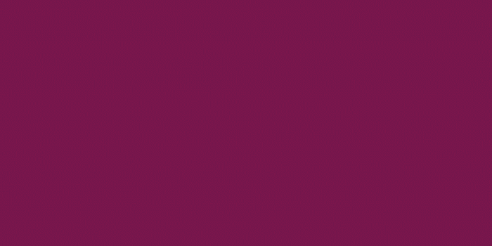 768x1365 Pansy Purple Solid Color Background Wallpaper for Mobile Phone