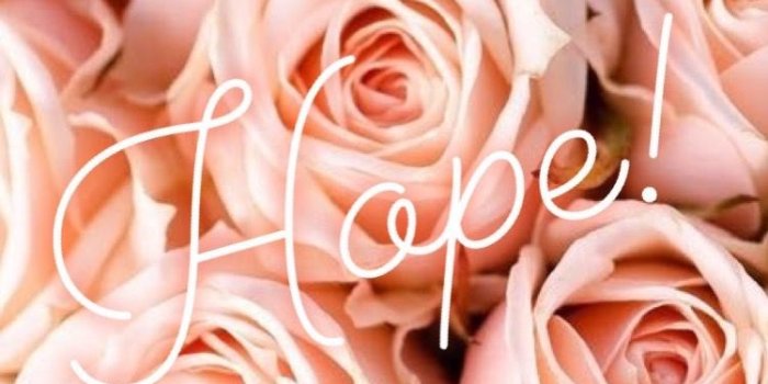 750x1334 Hope 