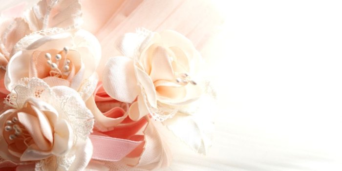1579x955 Pink Roses Close Up Macro Photo Hd Wallpaper | Wallpapers Lock Screen