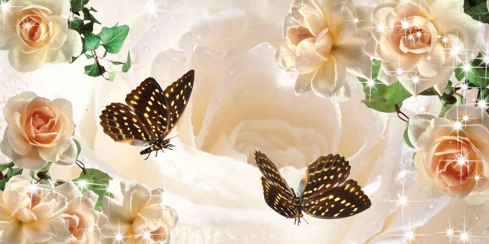 1920x1080 Free download peach flowers wide high resolution wallpaper download