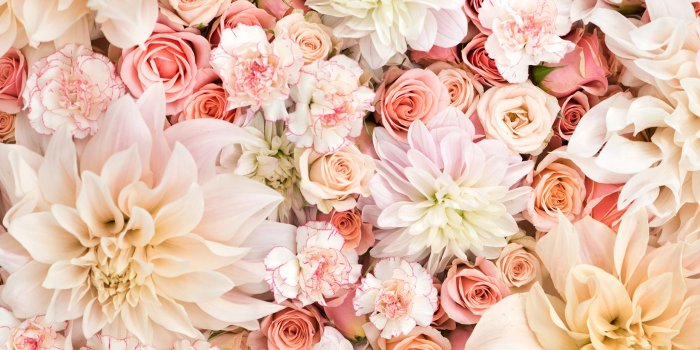 1856x1161 Dahlias, Roses, and Carnations in Pastels Wallpaper and Background
